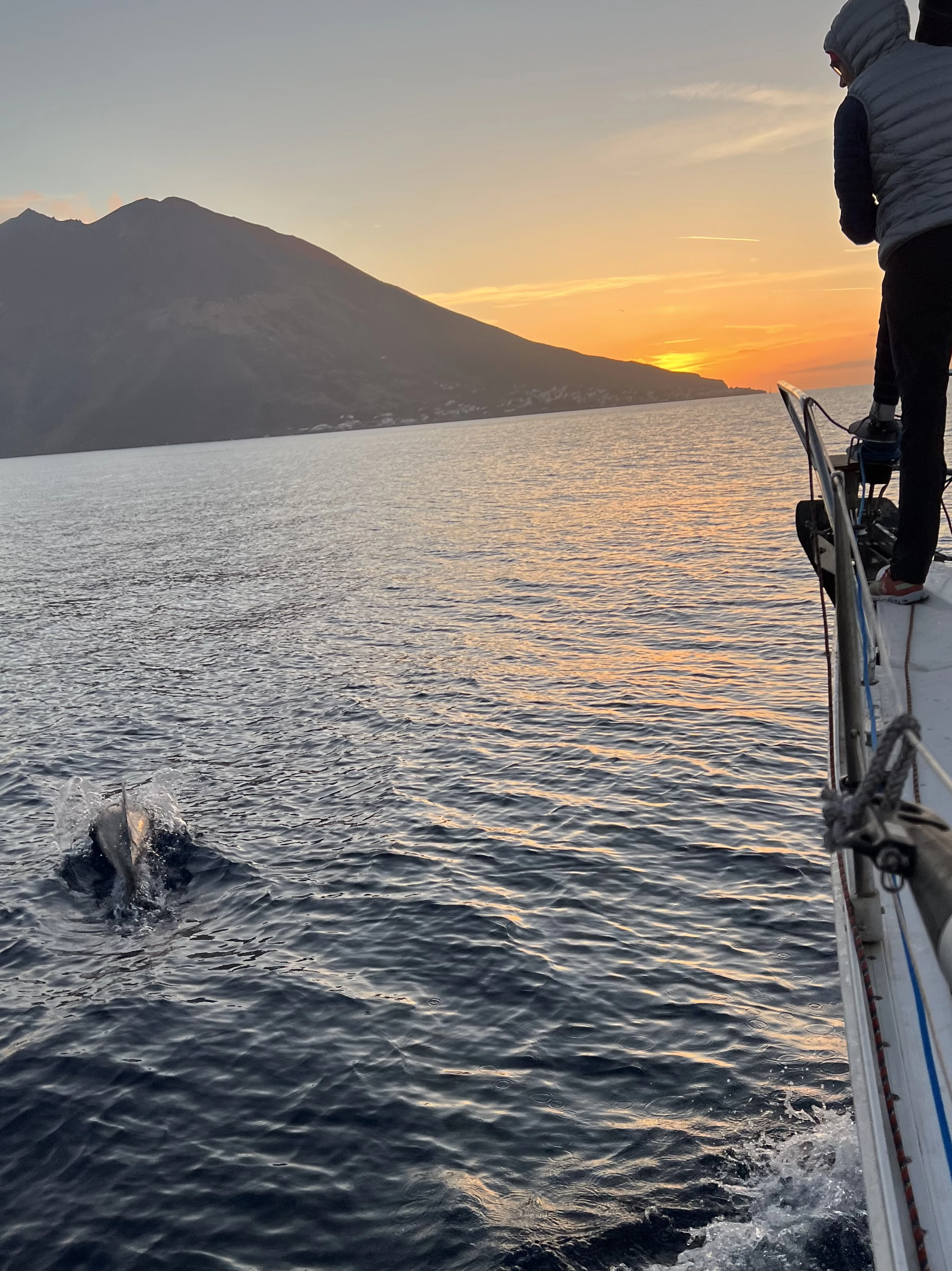 Stromboli mit Delfinen | Mai 2022